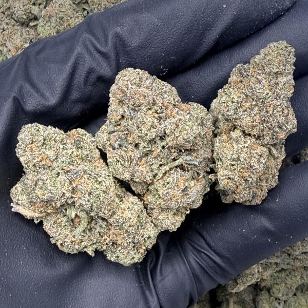 Double Seven (D7-R20)