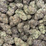 GUSHERS (G45)