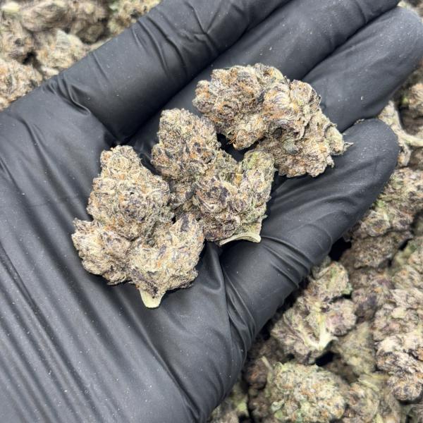 LEMON CHERRY GELATO (LCG)