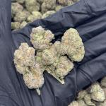 How High (H2)