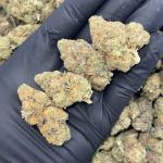 Gelato Gas (G90)