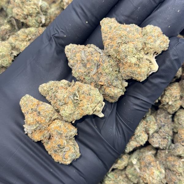 Gelato Gas (G90)