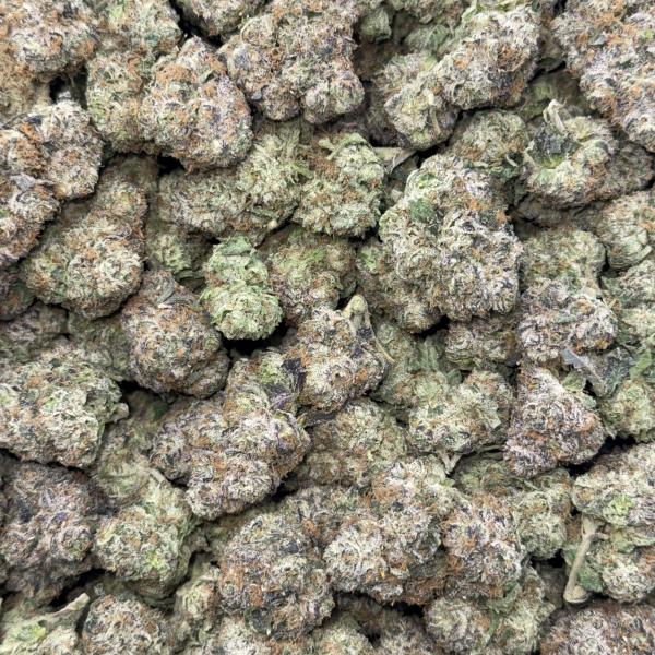 GELATO BOMB (GB188)