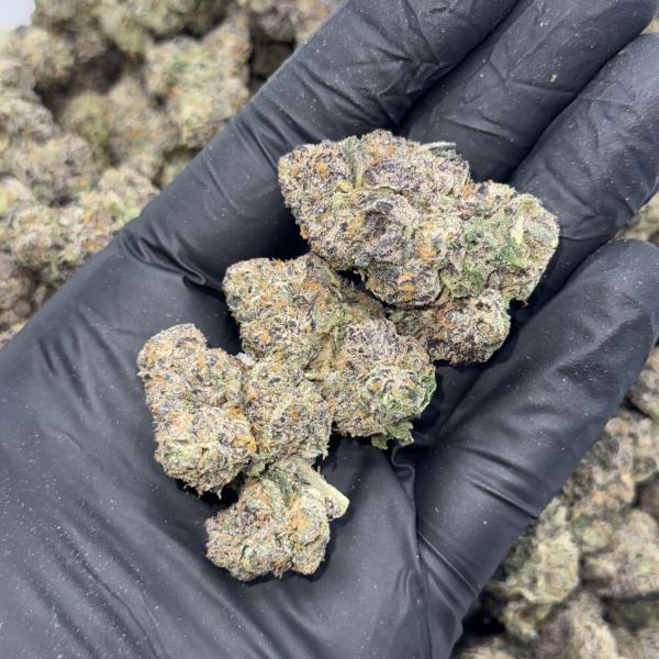 GAZO (G45)