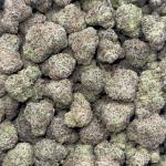 Cherry Seed (CS67)