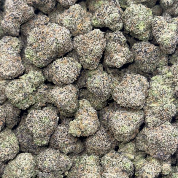 Cherry Seed (CS67)