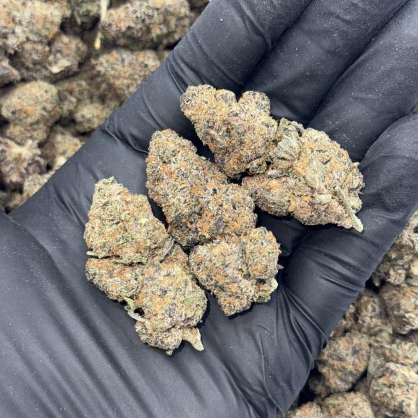 Loud Apple (LA43)