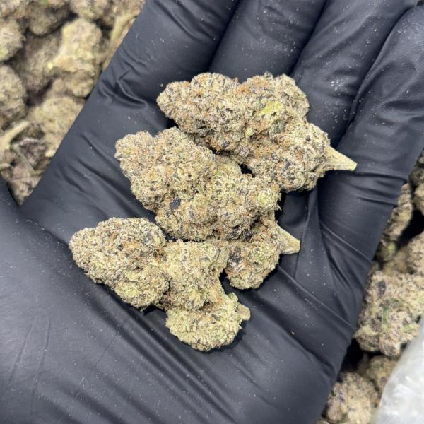 Lemon Squeeze (116)