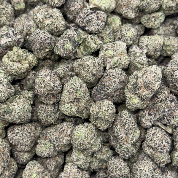 Gusher Berriez (GB125)