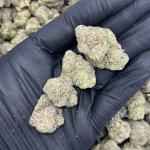 Gummy Bears (GB43)