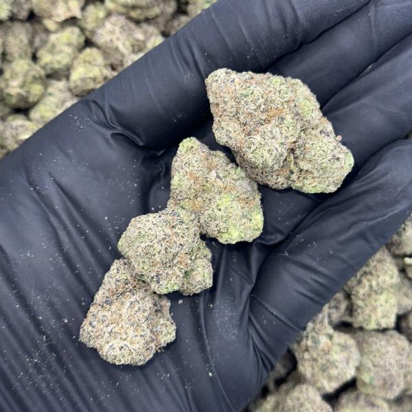 Gummy Bears (GB43)