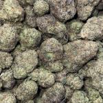 CHERRY GELATO (CG)