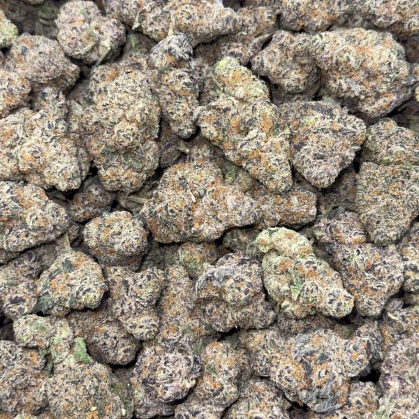 GoGo Bomb (GGBB)
