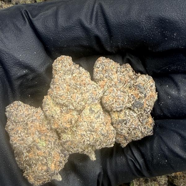 Lava Caka Gusher (LCG60)