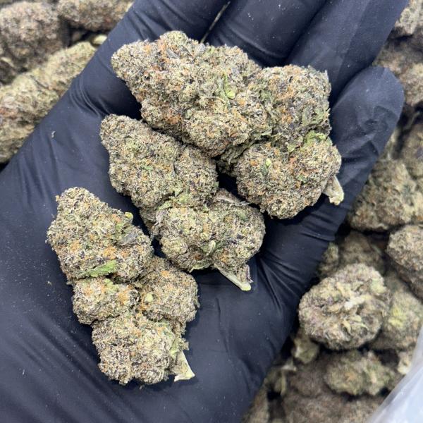 HYBRID BERRY KAKE(HBK)