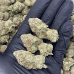 GUMMY BERRIES (GB76)