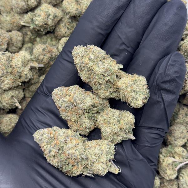 GUMMY BERRIES (GB76)