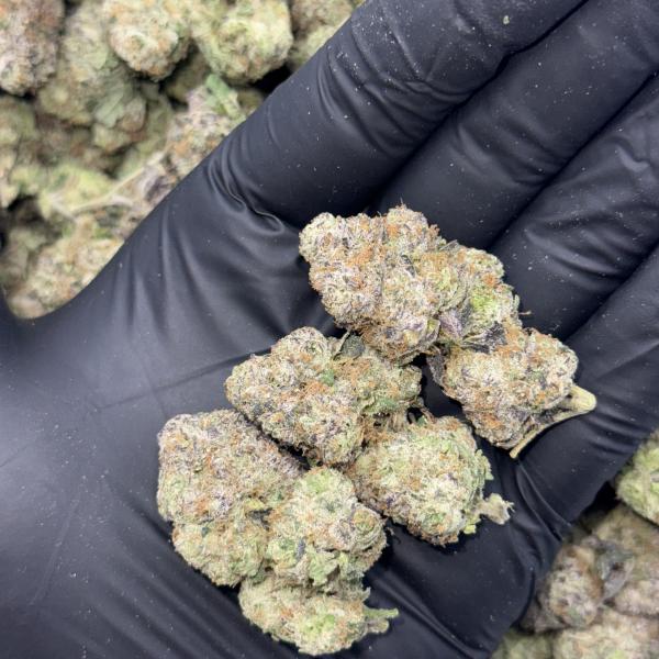 GELATO BOMB (GB188)