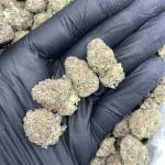 GusherBurst (GB)