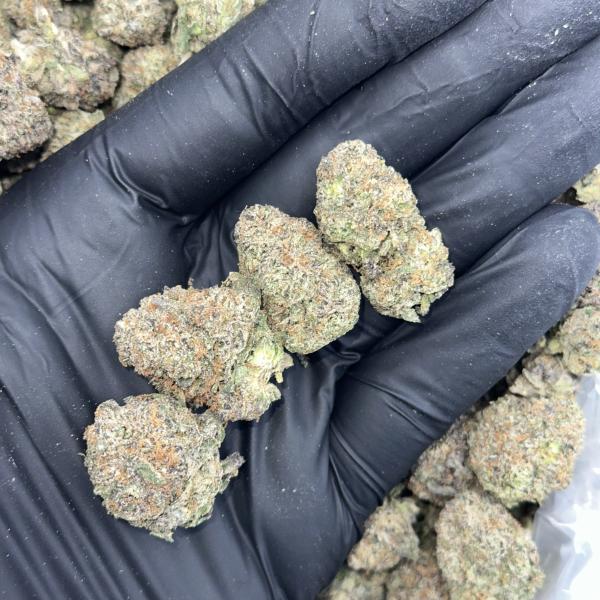 GusherBurst (GB)