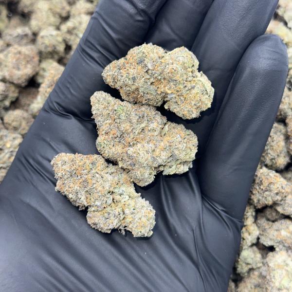 FIELD GRAPE (FG45)