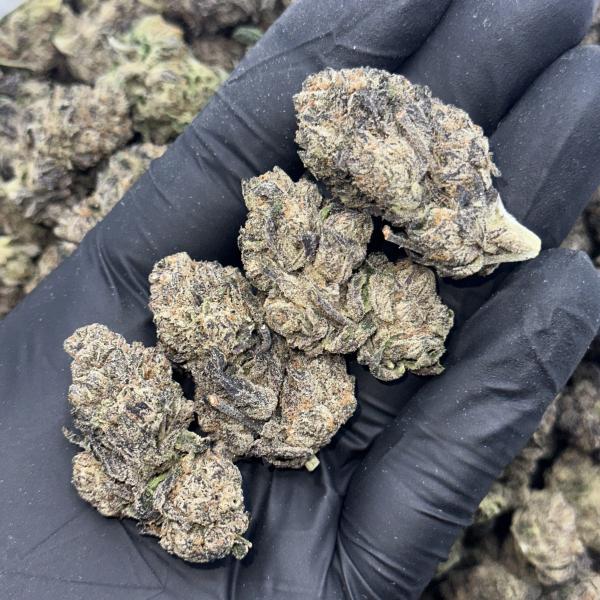 GOBSTOPPER(GO2)