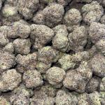 Garry Gelato (G150)
