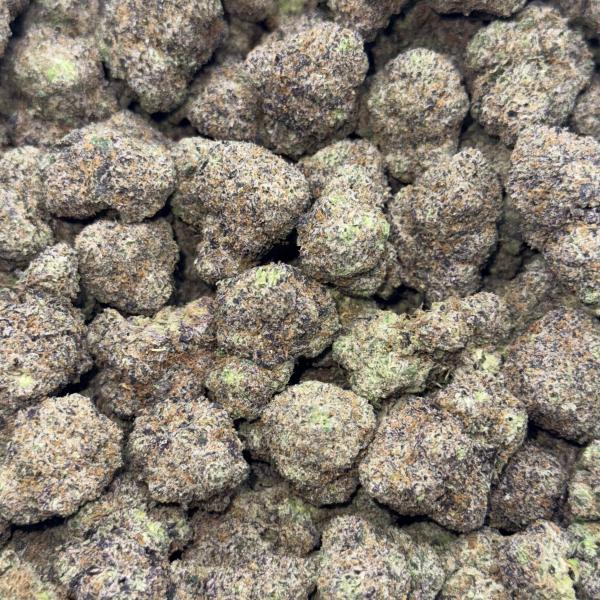Garry Gelato (G150)