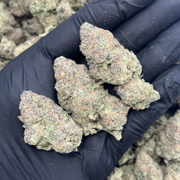 PRETTY 70(P70)