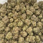 GELATO MINT