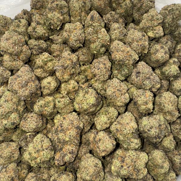 GELATO MINT