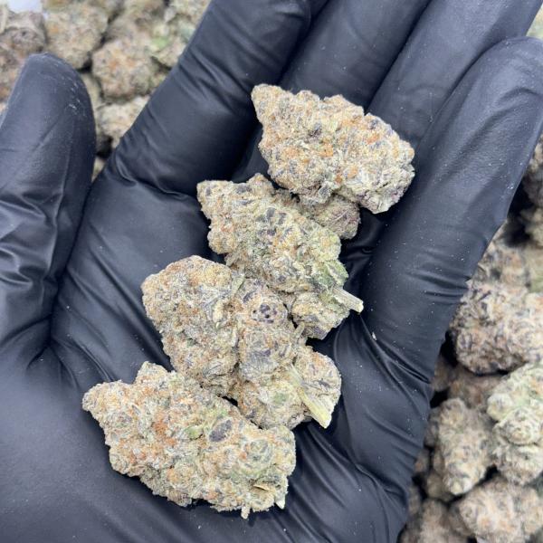 FIELD APPLE (FAT50)