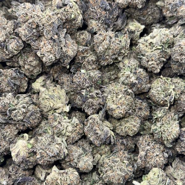 GOBSTOPPER(GO2)