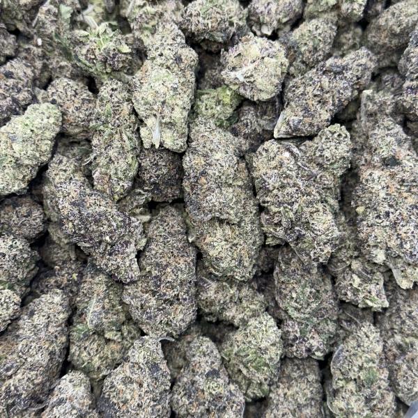 Thrax (T30)