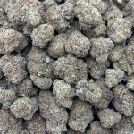 FIELD GRAPE (FG45)