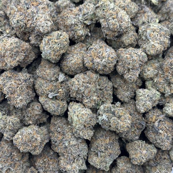 FIELD GRAPE (FG45)