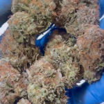 PURPLE PLATINUM