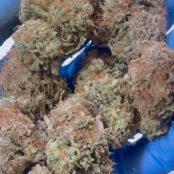 PURPLE PLATINUM