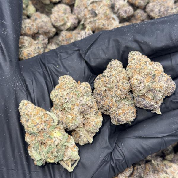 GoGo Bomb (GGBB)