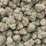 GUMMY BERRIES (GB76)