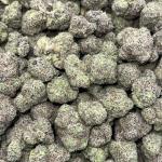 Gummy Bears (GB43)