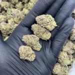 Candy Gas (CG50)