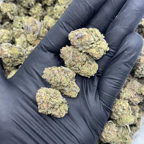 Candy Gas (CG50)
