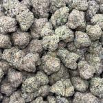 FIELD APPLE (FAT50)