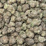 Lemon Cherry(LCG)