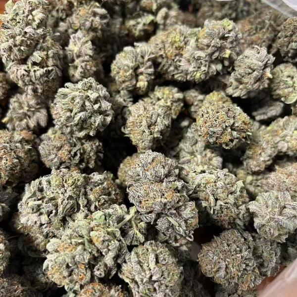 PURPLE ZA  PLATINUM