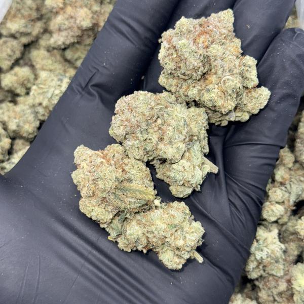 Gorilla Glue (GG4)