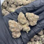 Garry Gelato (G150)