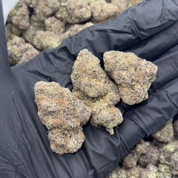 Garry Gelato (G150)
