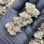 SUPER CANDY(12)